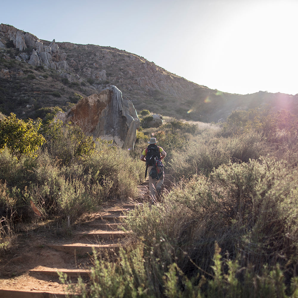 Sunday Afternoons Charter Escape Sonnenhut - Sand