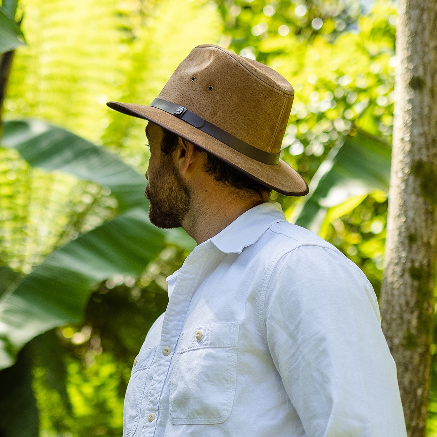 Jaxon & James Nubuck Safari Fedora Lederhut Kastanie Großhandel