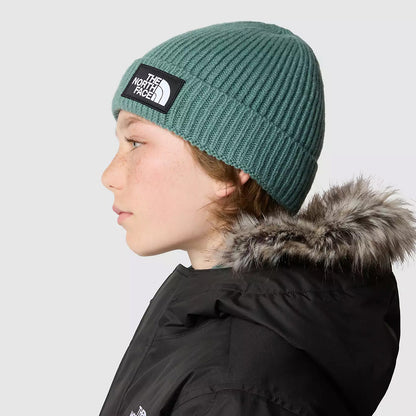 The North Face Kinder TNF Box Logo Cuffed Beanie Mütze - Helles Salbeigrün
