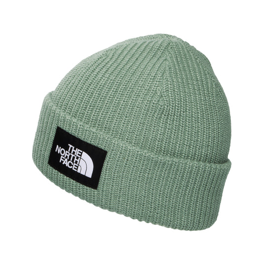 The North Face Salty II gefütterte Recycelter Beanie Mütze - Salbeigrün