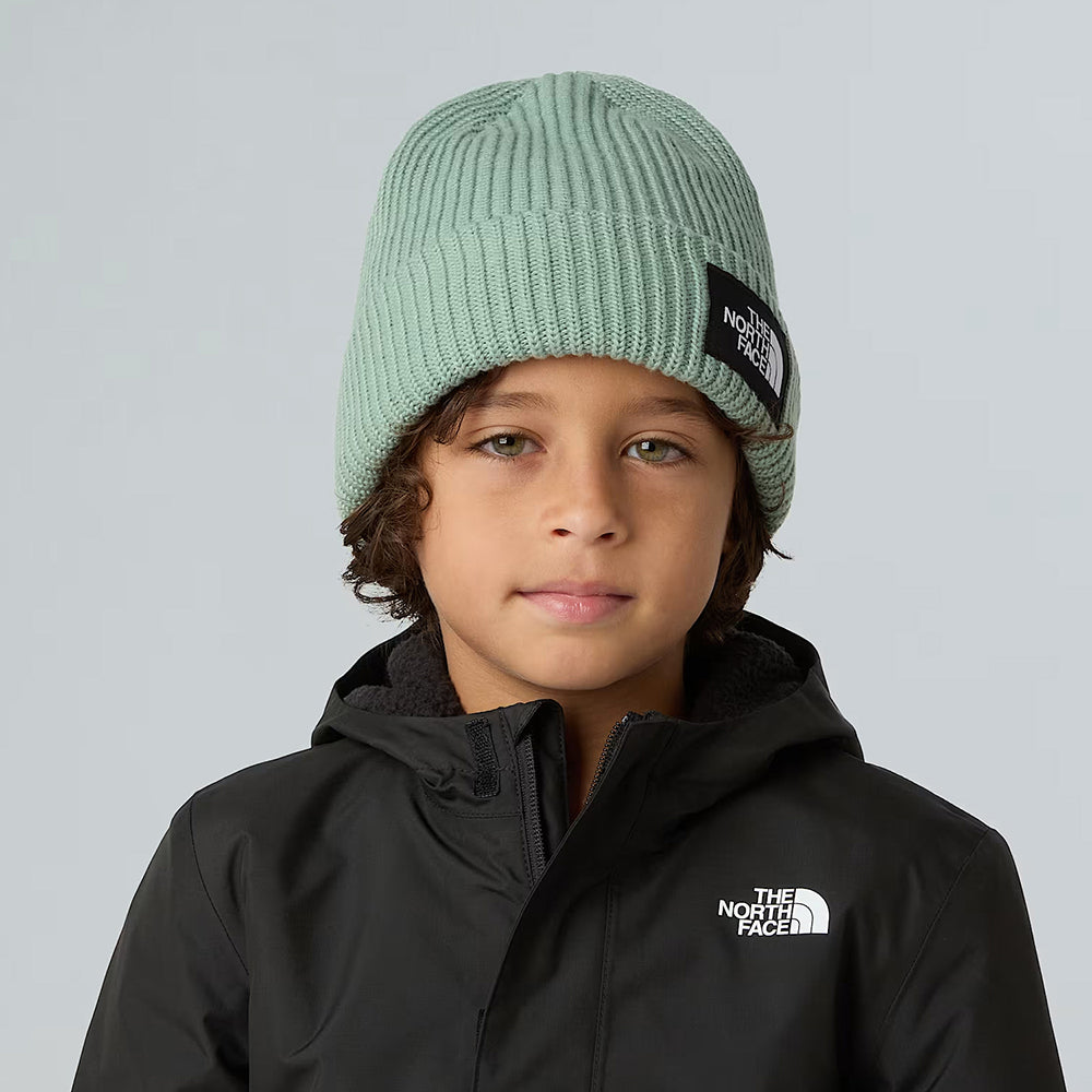 The North Face Salty II gefütterte Recycelter Beanie Mütze - Salbeigrün
