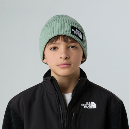 The North Face Kinder TNF Box Logo Cuffed mit Umschlag Beanie Mütze - Salbeigrün