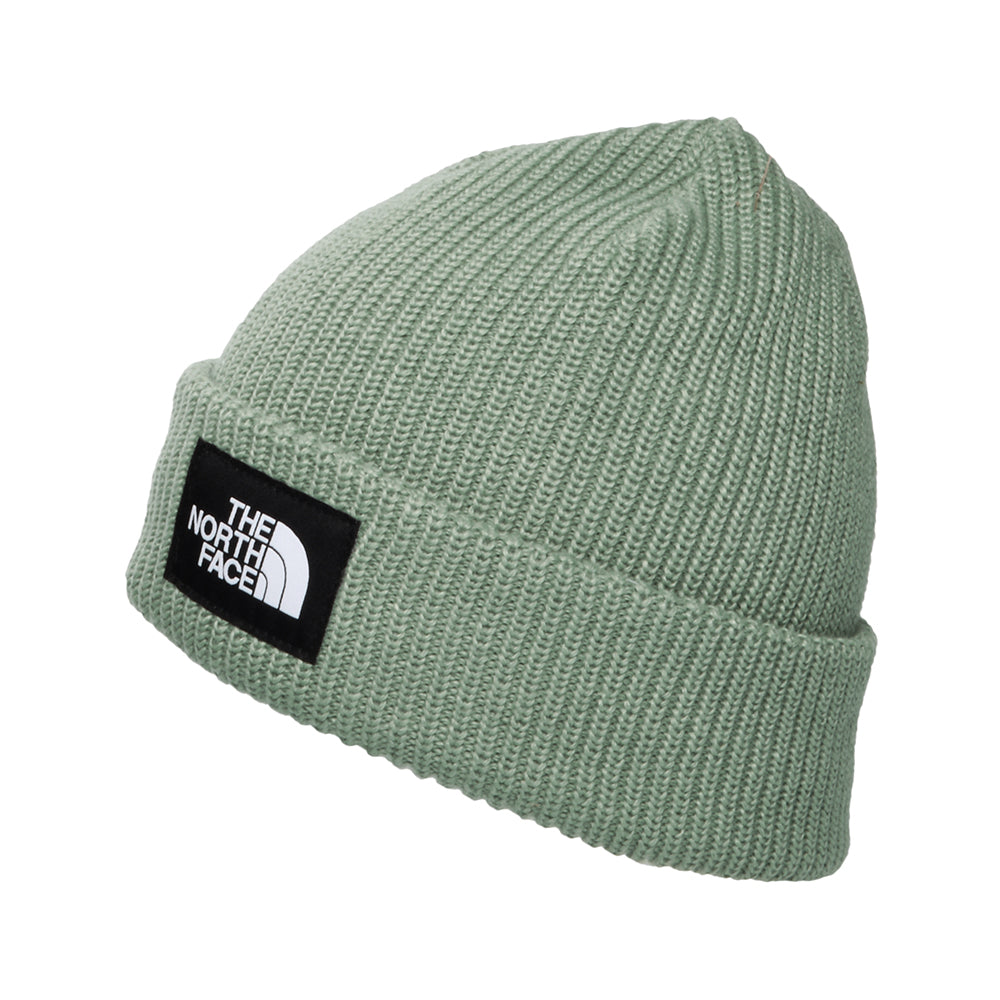 The North Face Salty gefütterte Recycelter Beanie Mütze - Salbeigrün