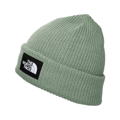 The North Face Salty gefütterte Recycelter Beanie Mütze - Salbeigrün