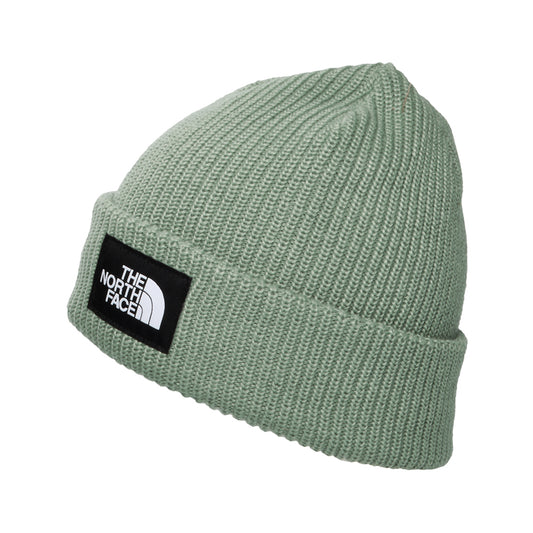 The North Face Salty gefütterte Recycelter Beanie Mütze - Salbeigrün