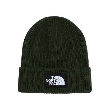 The North Face TNF Logo Box Recycled Beanie Mütze - Flaschengrün