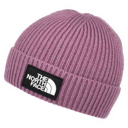 The North Face TNF Logo Box mit Umschlag Fishermann Beanie Mütze - Lila