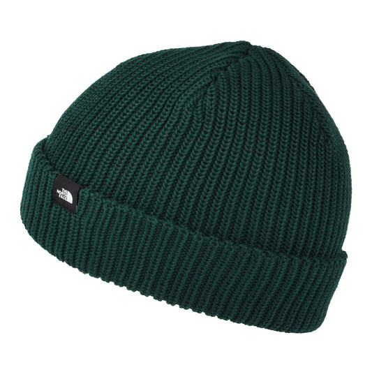 The North Face TNF Recycled Fisherman Beanie Mütze - Dunkelgrün