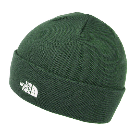 The North Face Norm kurze Beanie Mütze - Thymian
