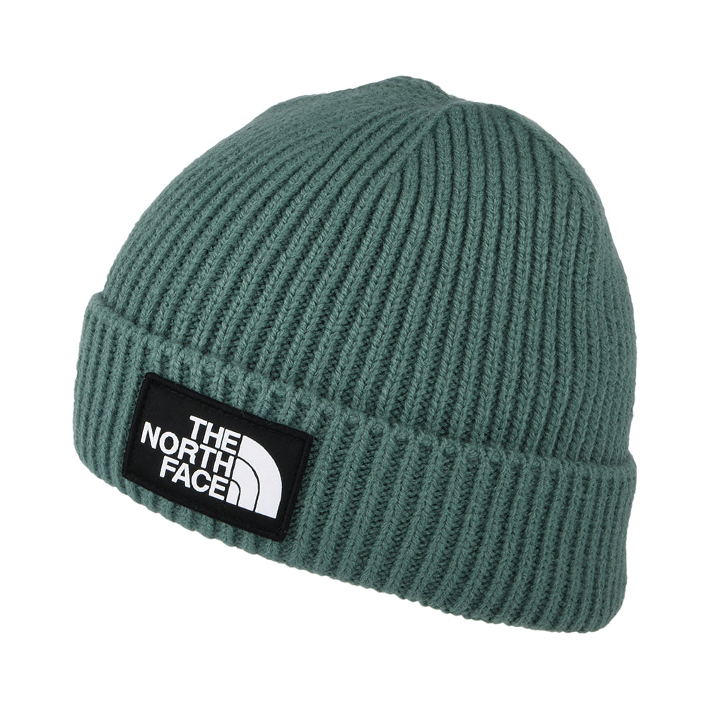 The North Face TNF Logo Box Cuffed Fisherman Beanie Mütze - Helles Salbeigrün