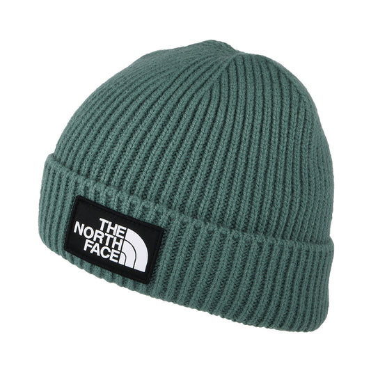 The North Face TNF Logo Box Cuffed Fisherman Beanie Mütze - Helles Salbeigrün